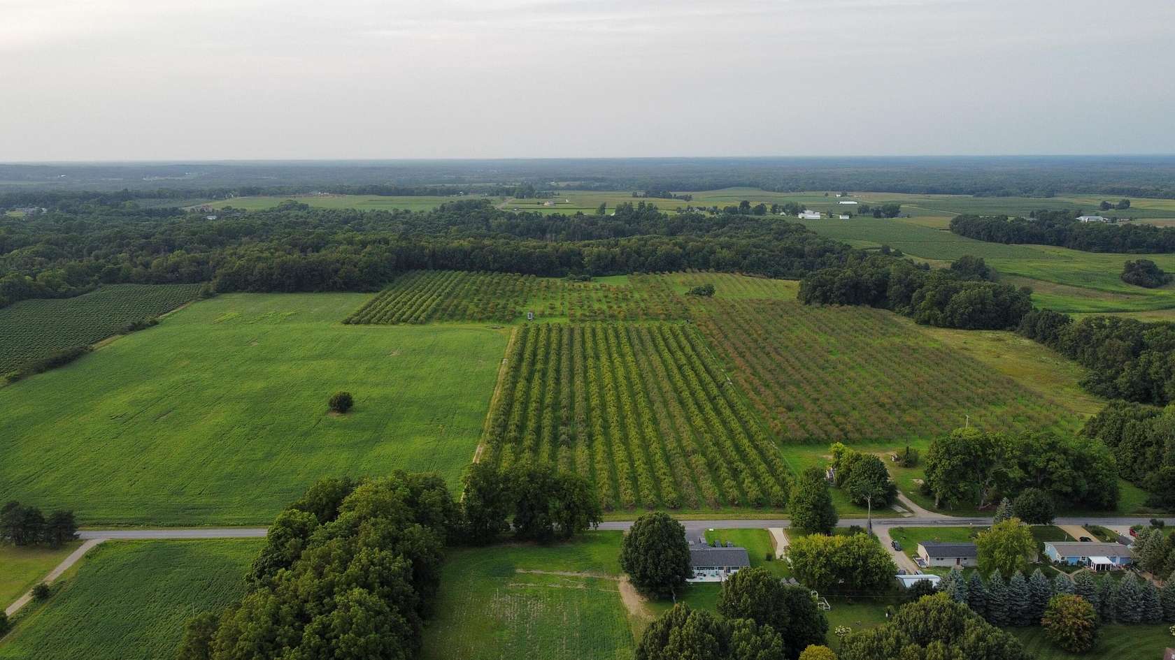 30.5 Acres of Agricultural Land for Sale in Paw Paw, Michigan