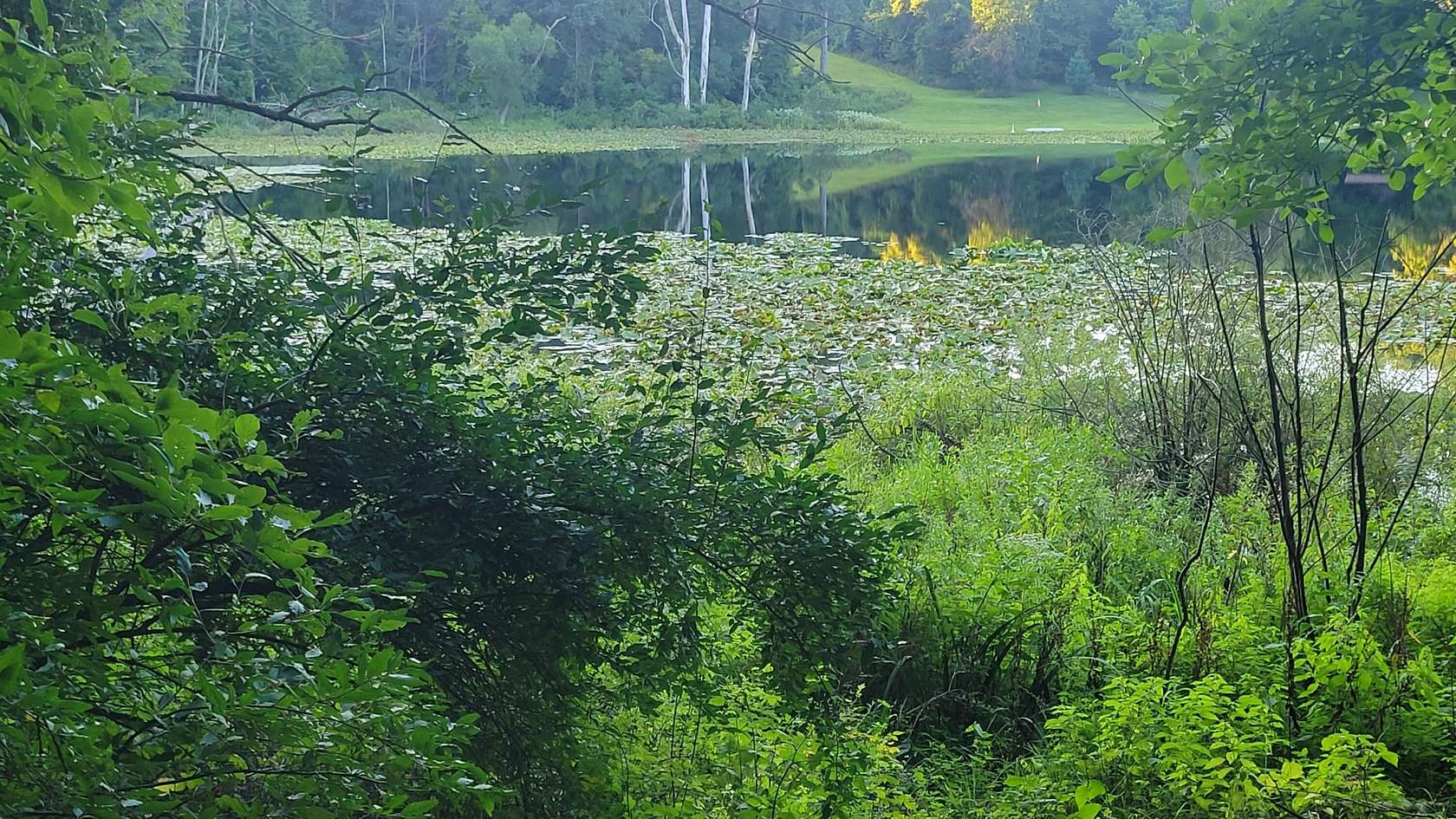 30.5 Acres of Land for Sale in Paw Paw, Michigan