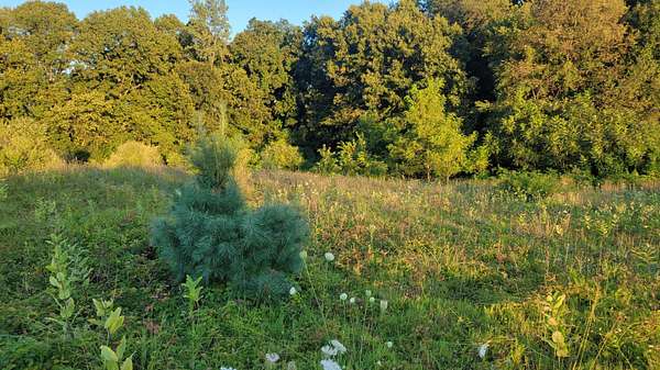 30.5 Acres of Land for Sale in Paw Paw, Michigan