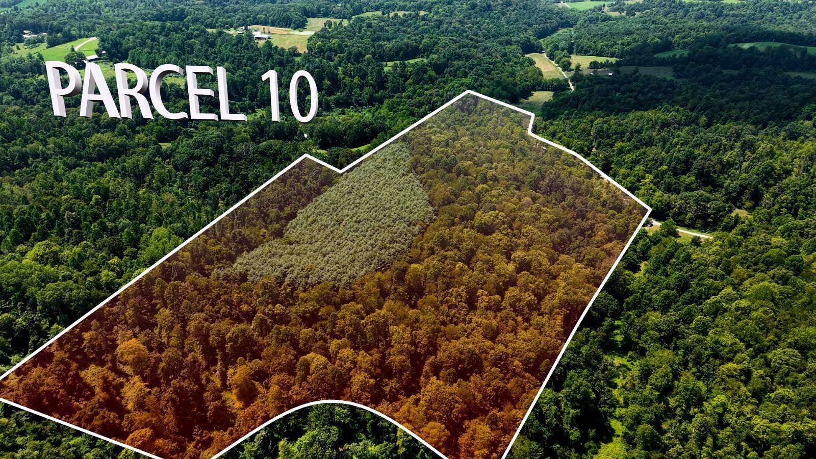 46.2 Acres of Land for Sale in Dexter City, Ohio