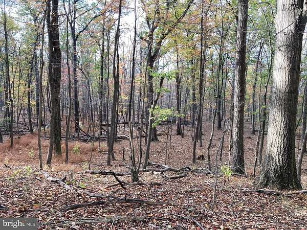 4.12 Acres of Residential Land for Sale in Augusta, West Virginia