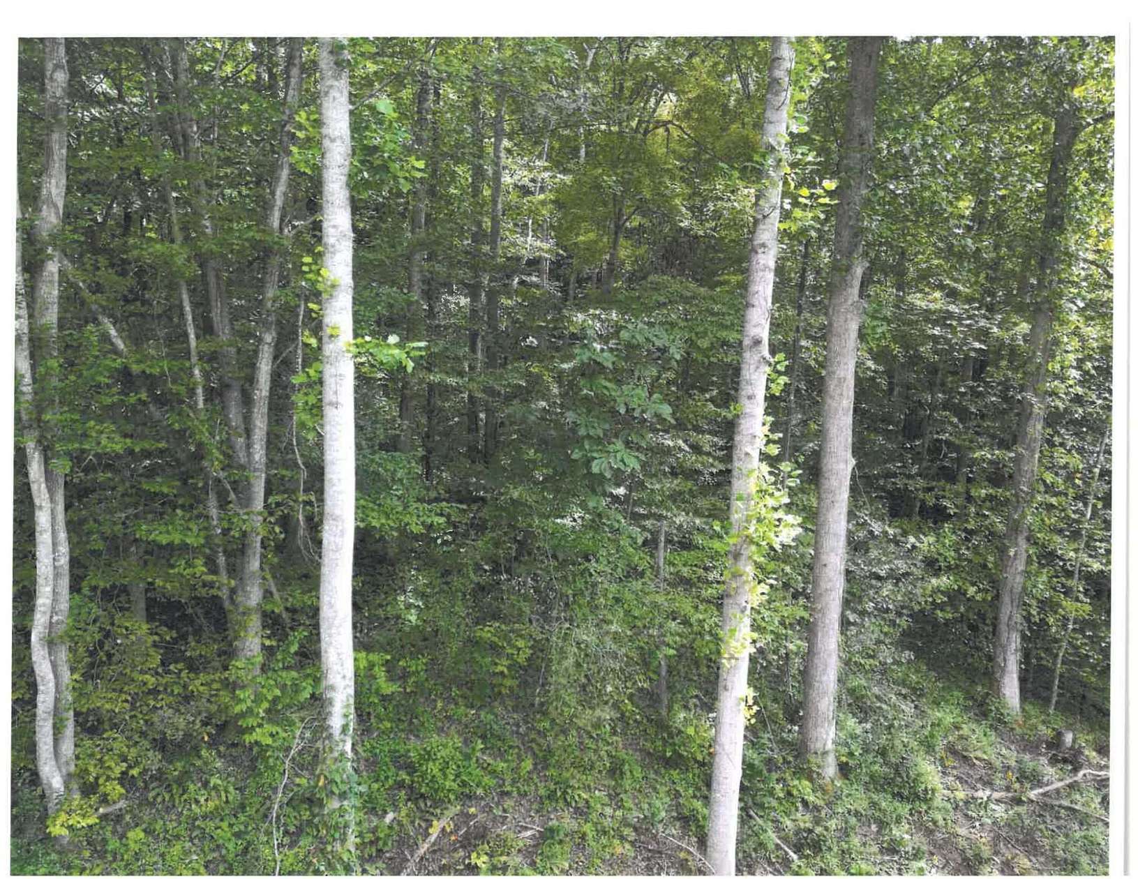 136 Acres of Recreational Land for Sale in Manchester, Kentucky