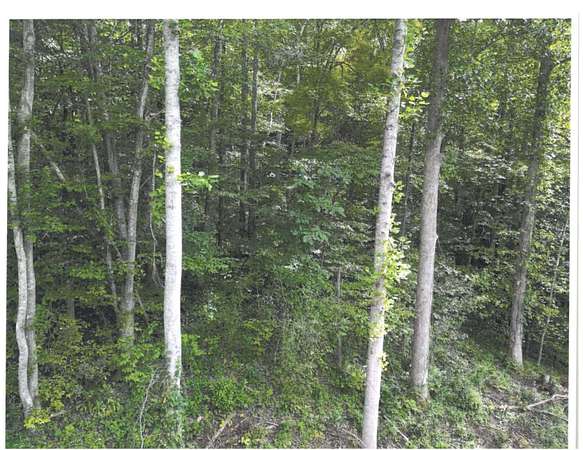 136 Acres of Recreational Land for Sale in Manchester, Kentucky