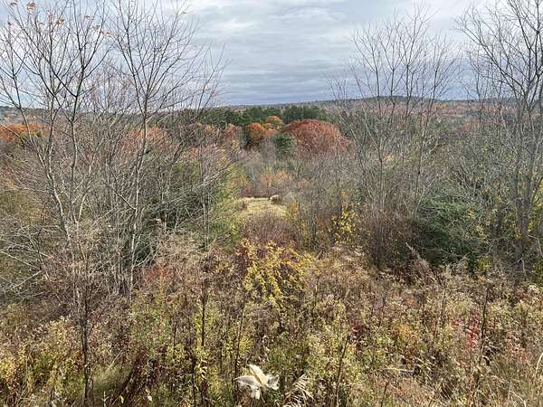 51.7 Acres of Recreational Land for Sale in Prospect, Maine