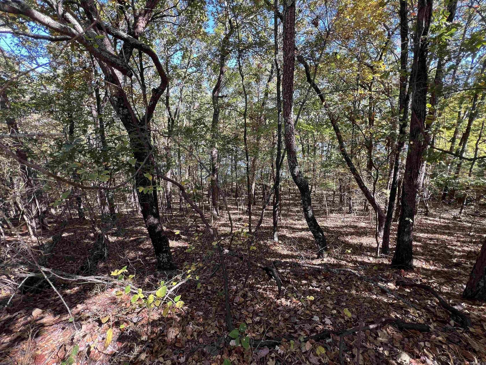 1 Acre of Residential Land for Sale in Clinton, Arkansas