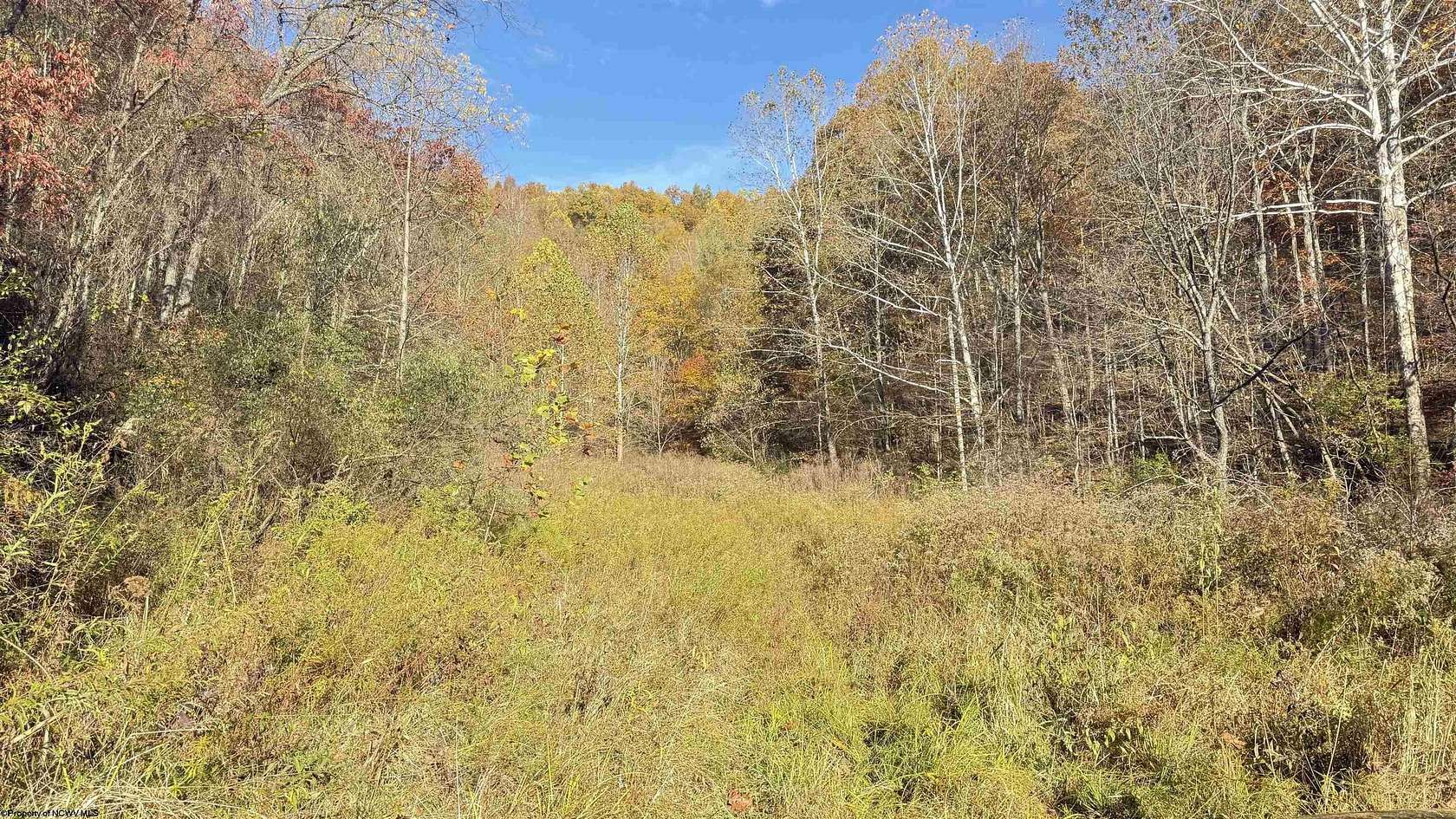 111 Acres of Land for Sale in Wallace, West Virginia