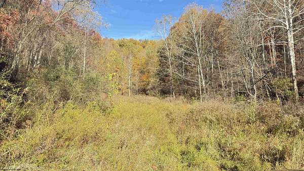 111 Acres of Land for Sale in Wallace, West Virginia