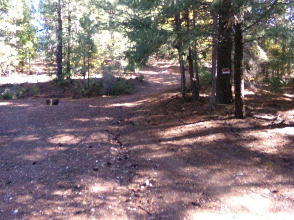 20 Acres of Recreational Land for Sale in Fort Jones, California