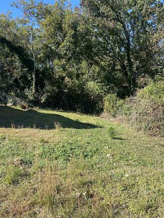 0.1 Acres of Residential Land for Sale in Union, South Carolina