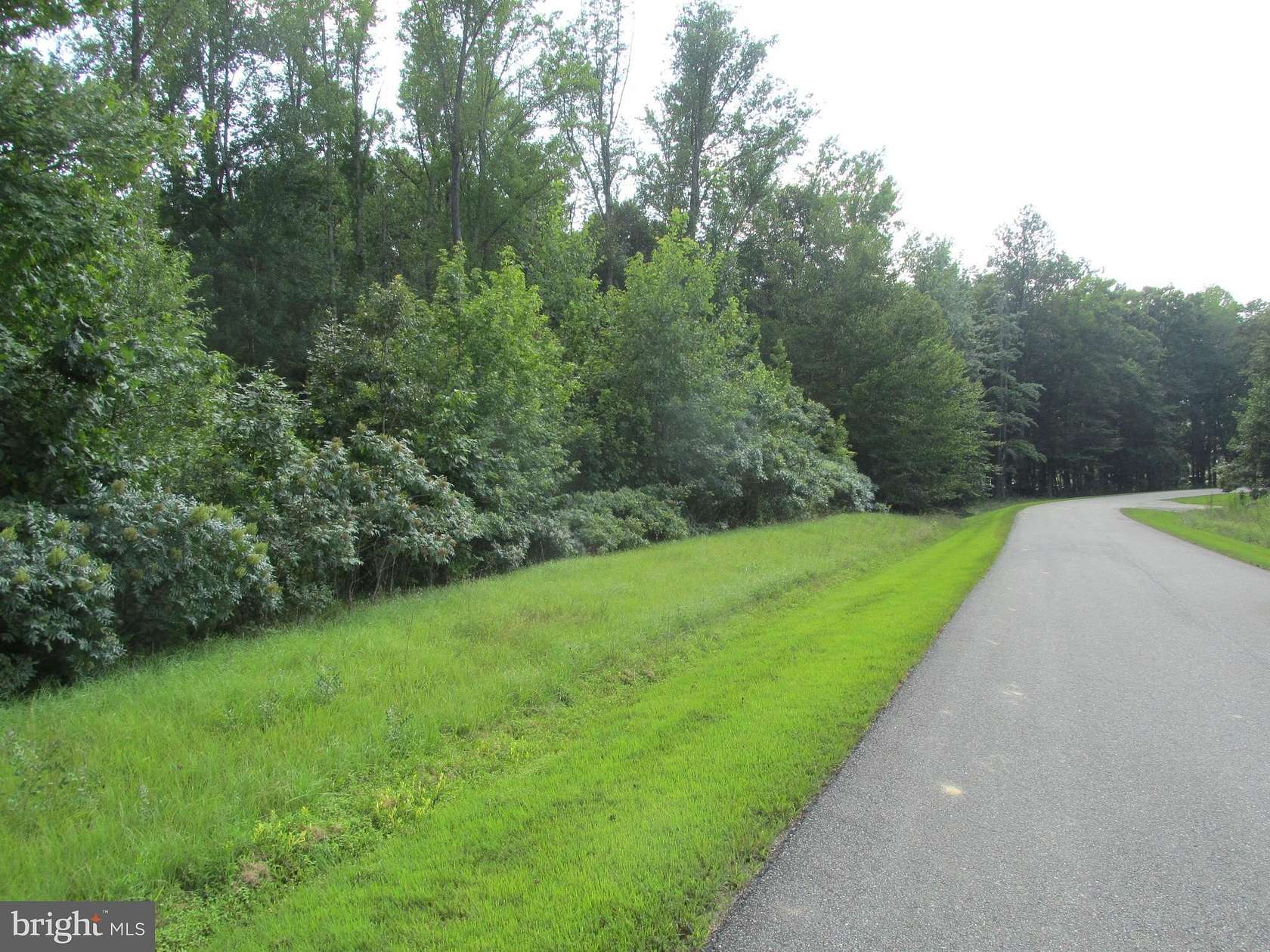 0.81 Acres of Land for Sale in Bumpass, Virginia