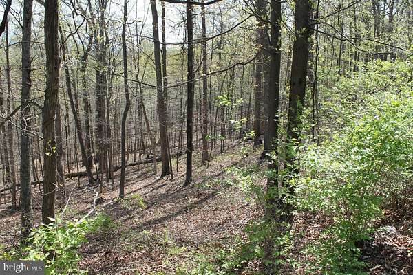 5 Acres of Land for Sale in Front Royal, Virginia