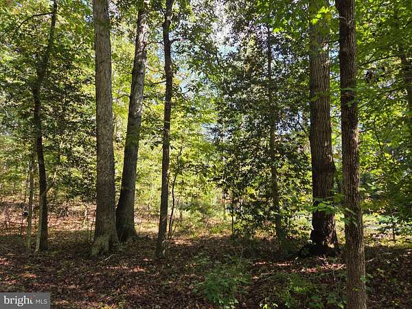 2 Acres of Residential Land for Sale in Fredericksburg, Virginia