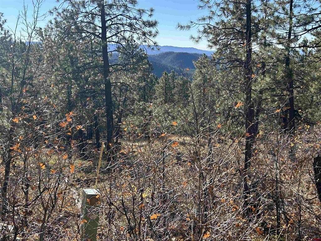 1 Acre of Residential Land for Sale in Bayfield, Colorado