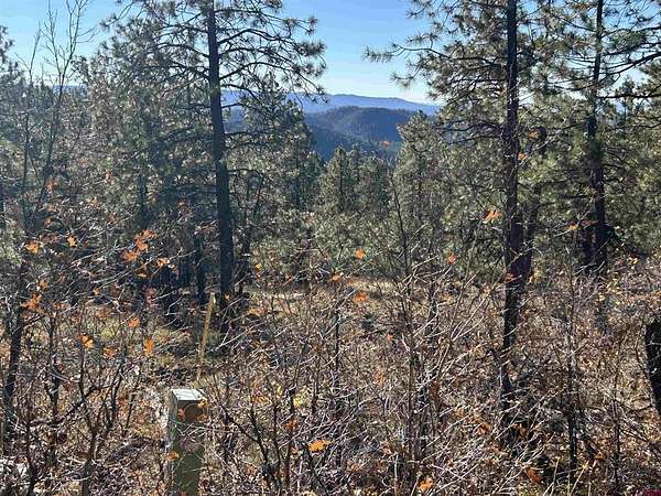 1 Acre of Residential Land for Sale in Bayfield, Colorado
