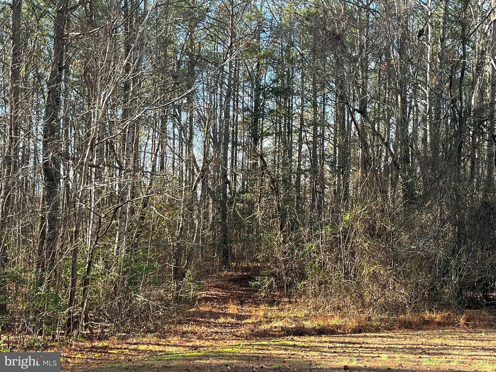 16.1 Acres of Land for Sale in Woodford, Virginia