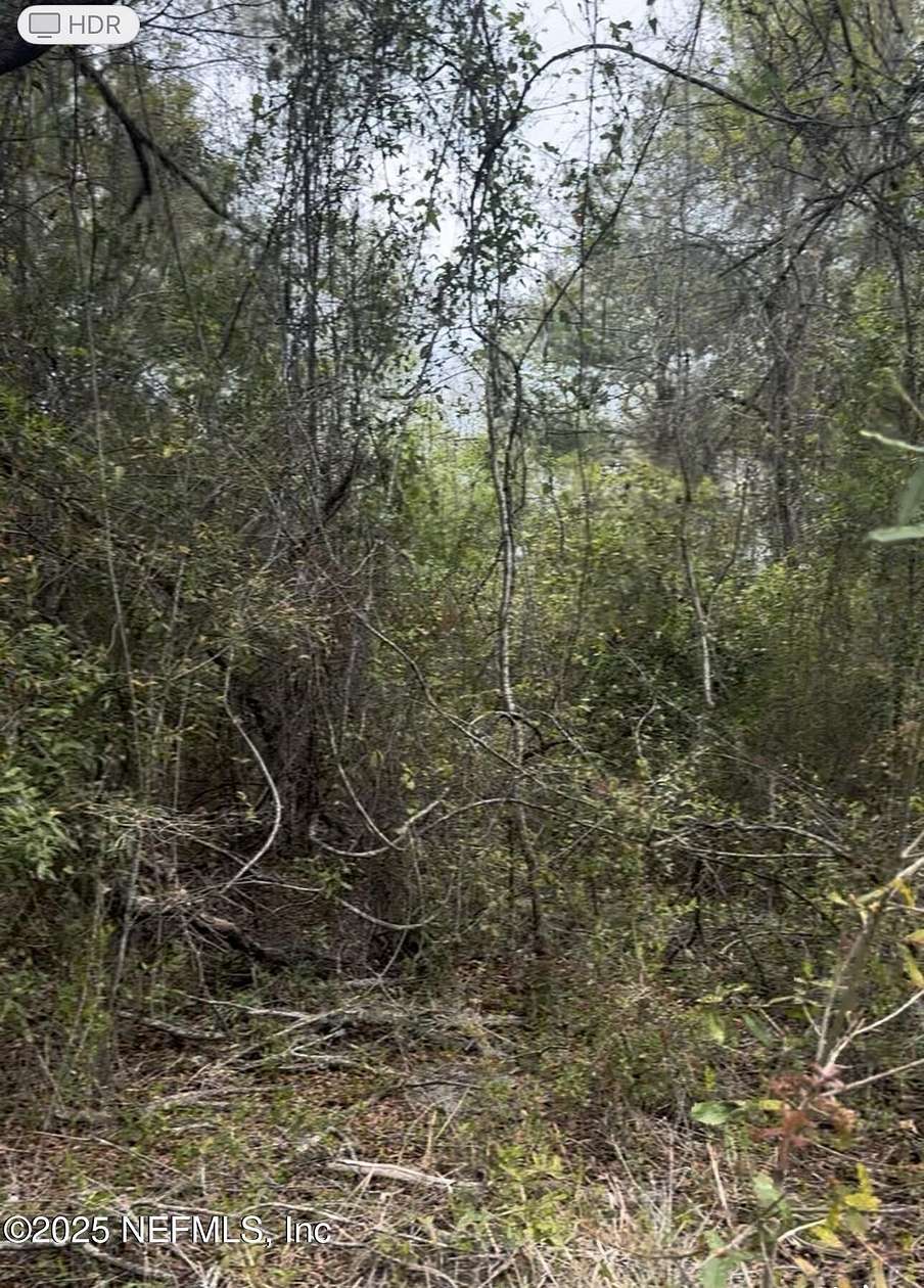10 Acres of Land for Sale in Jacksonville, Florida