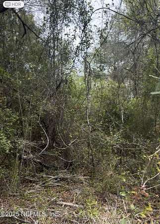 10 Acres of Land for Sale in Jacksonville, Florida