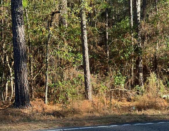 12.3 Acres of Land for Sale in Windsor, South Carolina