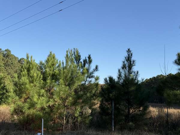 14 Acres of Land for Sale in Windsor, South Carolina