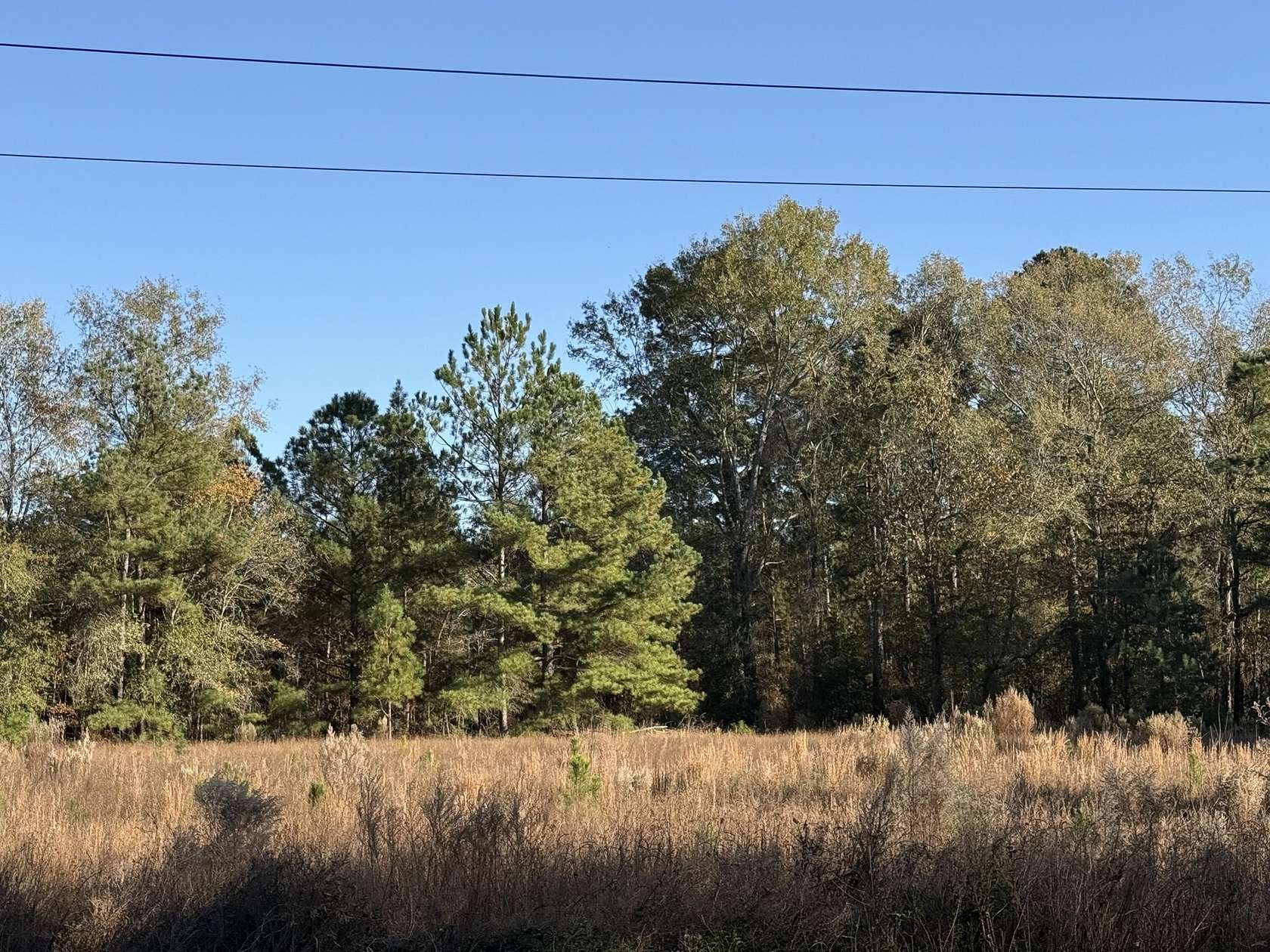 11.7 Acres of Land for Sale in Windsor, South Carolina