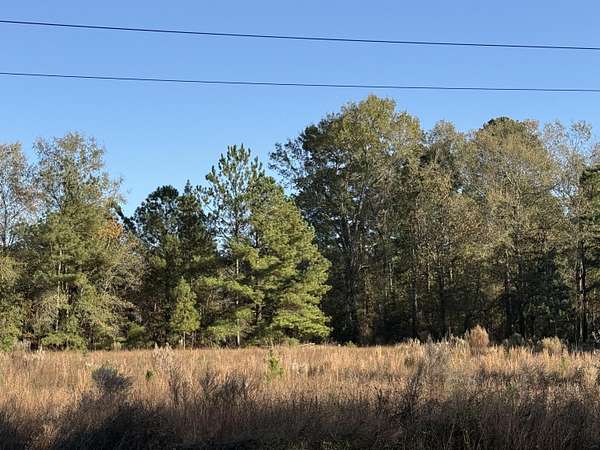 11.7 Acres of Land for Sale in Windsor, South Carolina