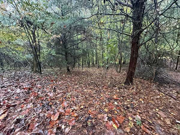 2 Acres of Residential Land for Sale in Sweetwater, Tennessee