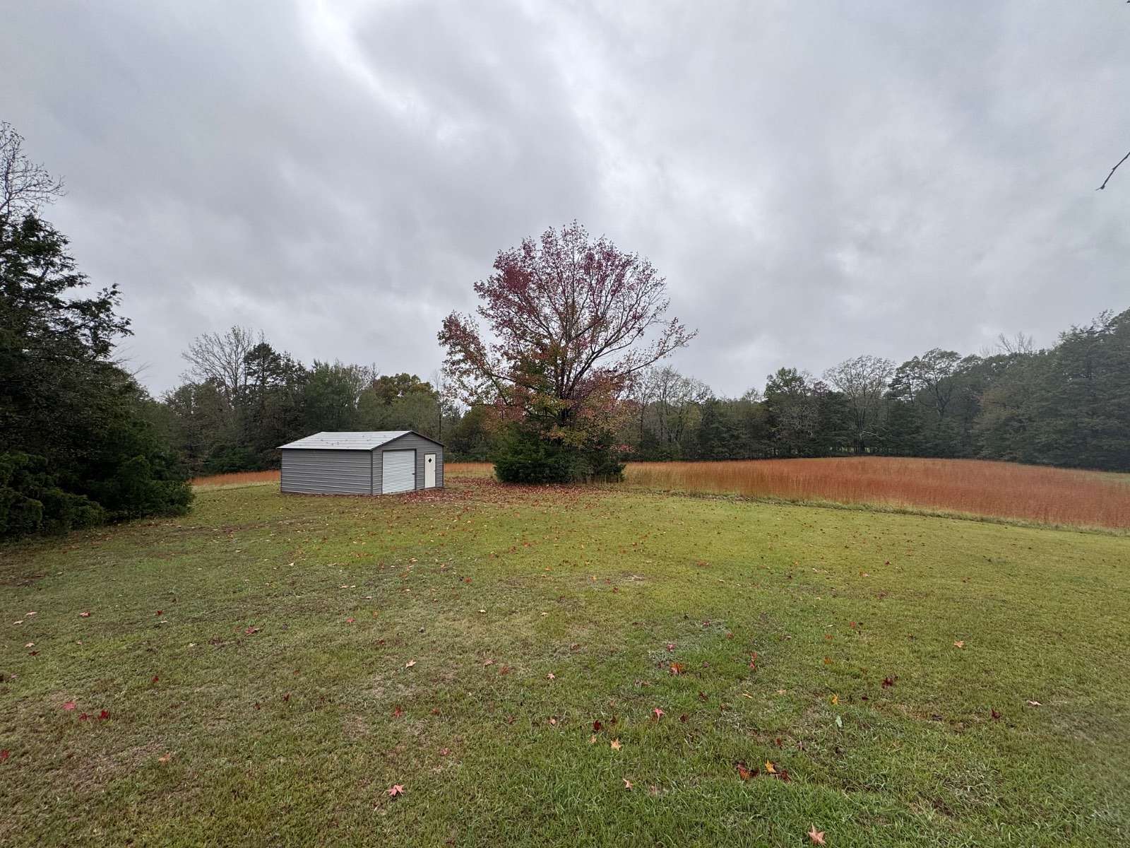 28.5 Acres of Land with Home for Sale in Winona, Mississippi