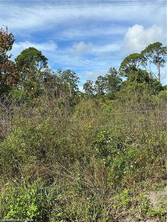 0.26 Acres of Residential Land for Sale in Lake Placid, Florida