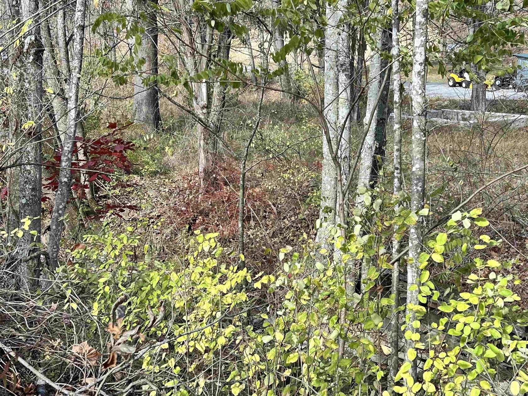 1 Acre of Residential Land for Sale in Elkins, West Virginia