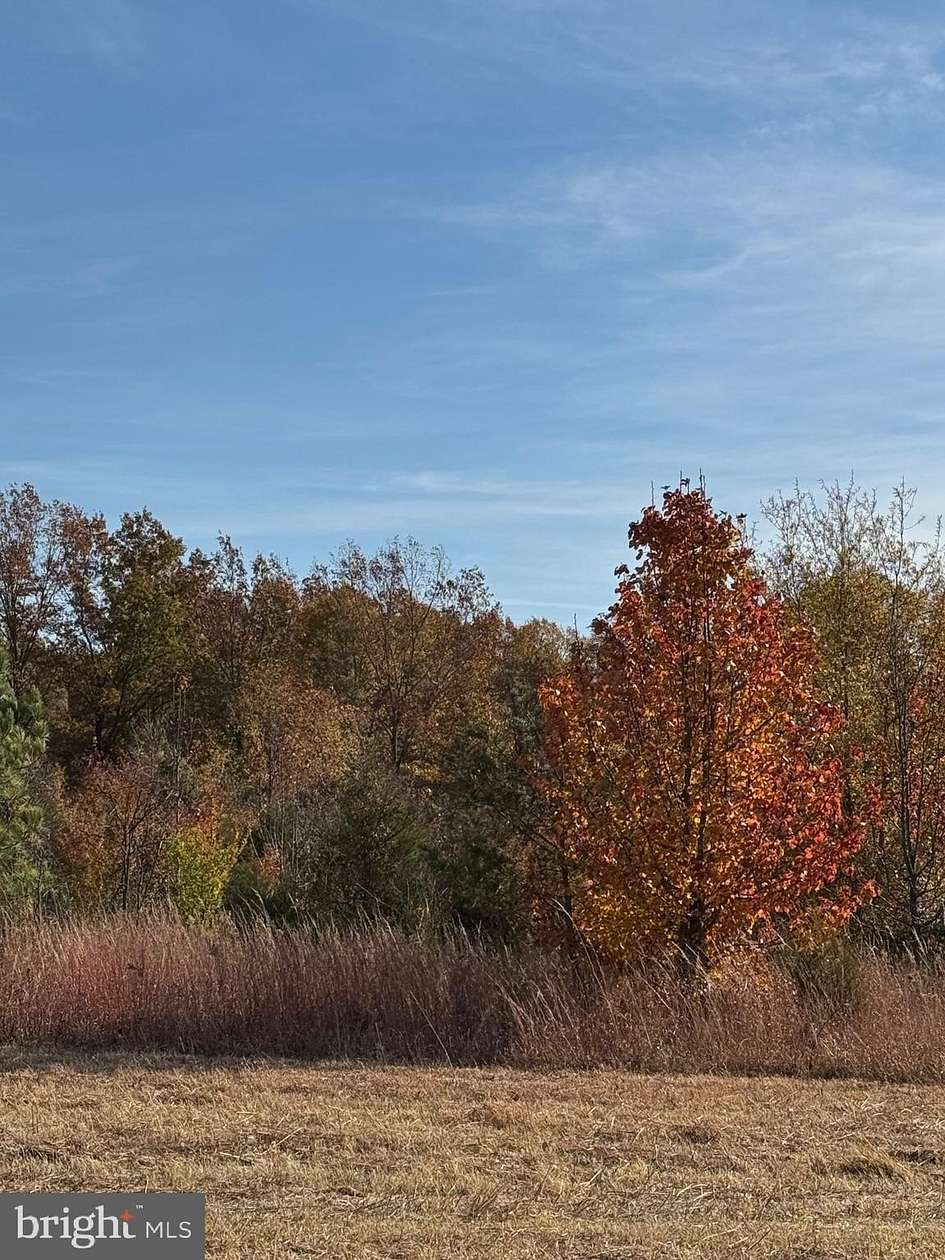 25 Acres of Recreational Land for Sale in Bealeton, Virginia