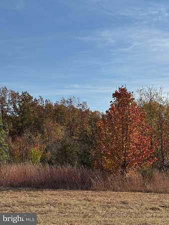 25 Acres of Recreational Land for Sale in Bealeton, Virginia