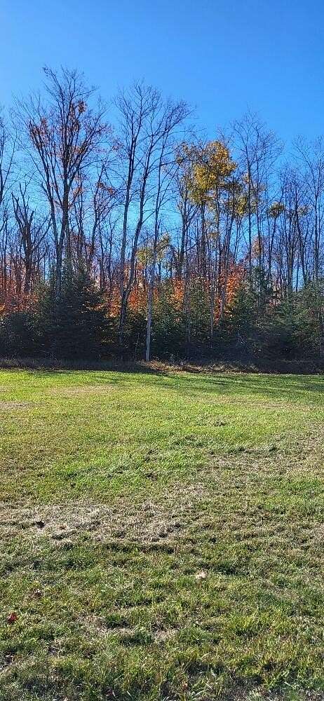 0.16 Acres of Commercial Land for Sale in Bois Blanc Township, Michigan