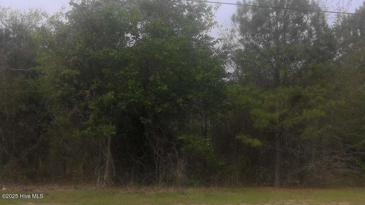 1 Acre of Residential Land for Sale in Kinston, North Carolina