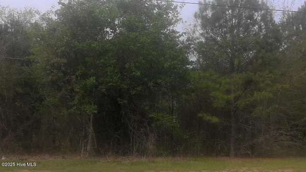 1 Acre of Residential Land for Sale in Kinston, North Carolina