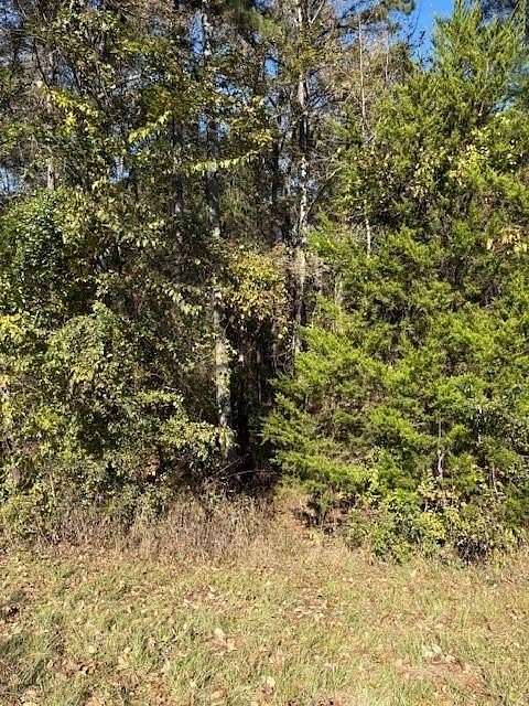 37.7 Acres of Recreational Land for Sale in Chandler, Texas