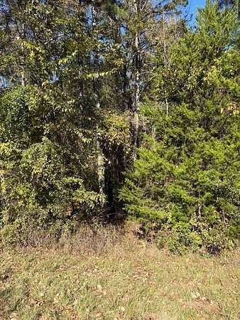 37.7 Acres of Recreational Land for Sale in Chandler, Texas