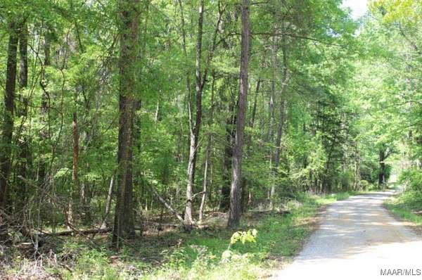 5.44 Acres of Residential Land for Sale in Pike Road, Alabama