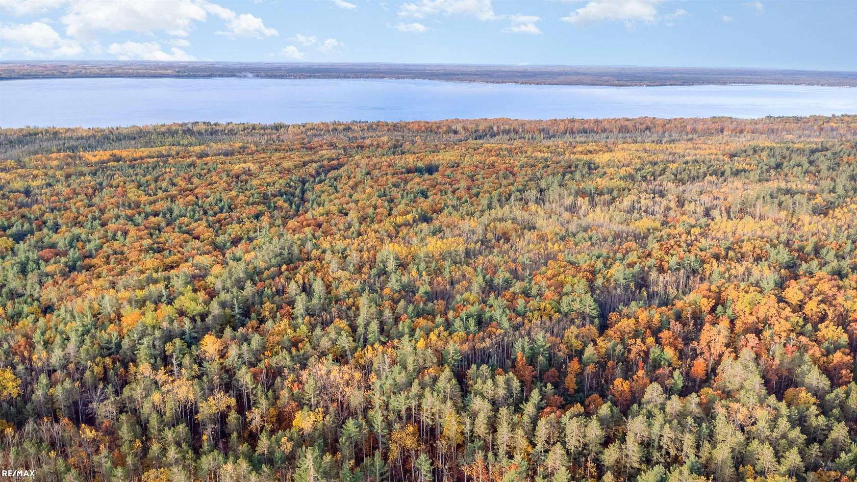 41 Acres of Recreational Land for Sale in Onaway, Michigan