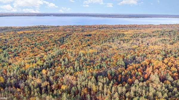 41 Acres of Recreational Land for Sale in Onaway, Michigan