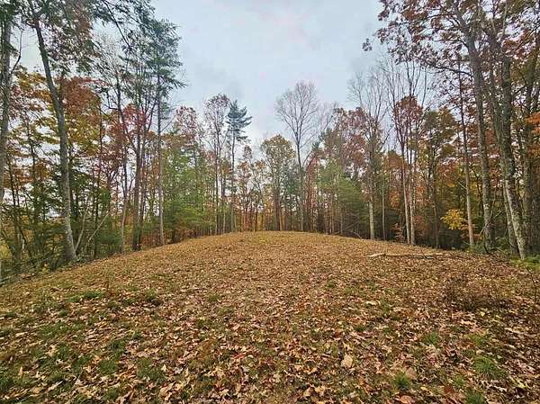40.5 Acres of Recreational Land for Sale in Camp Creek, West Virginia