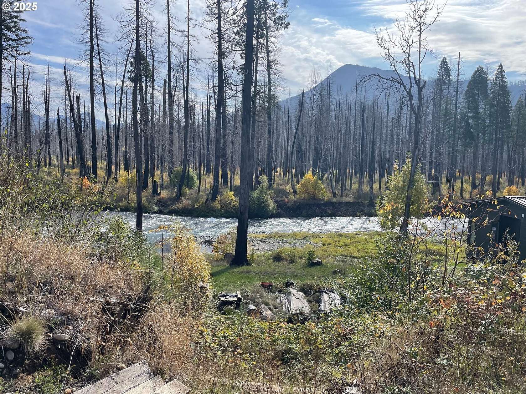 0.45 Acres of Residential Land for Sale in Blue River, Oregon