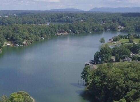 1 Acre of Residential Land for Sale in Goodview, Virginia