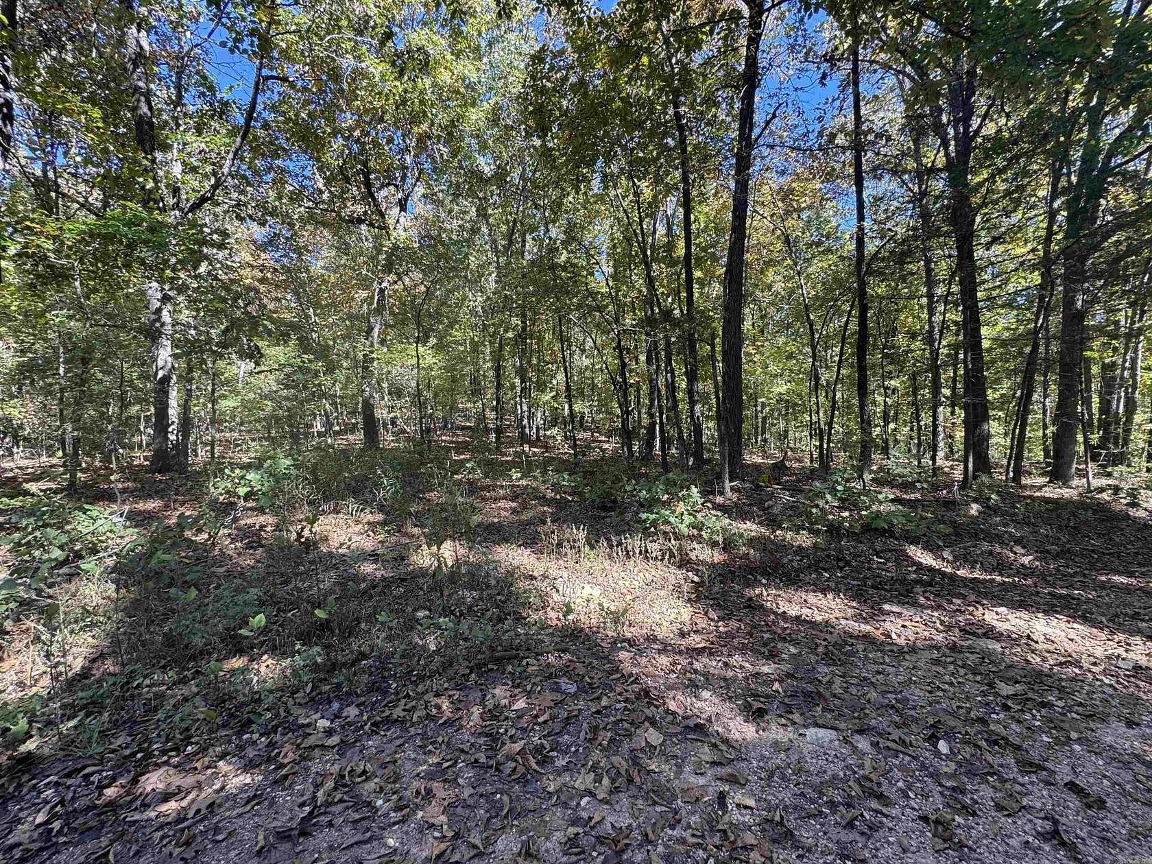 45 Acres of Recreational & Residential Land for Sale in Hardy, Arkansas