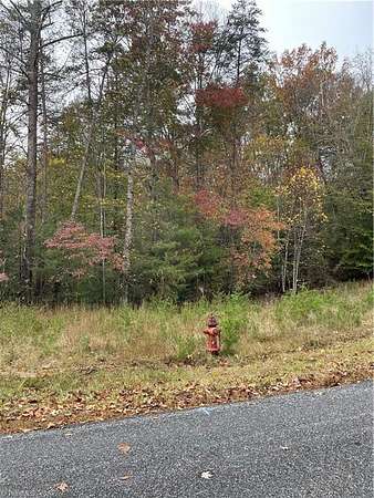 25 Acres of Recreational Land for Sale in Wilkesboro, North Carolina
