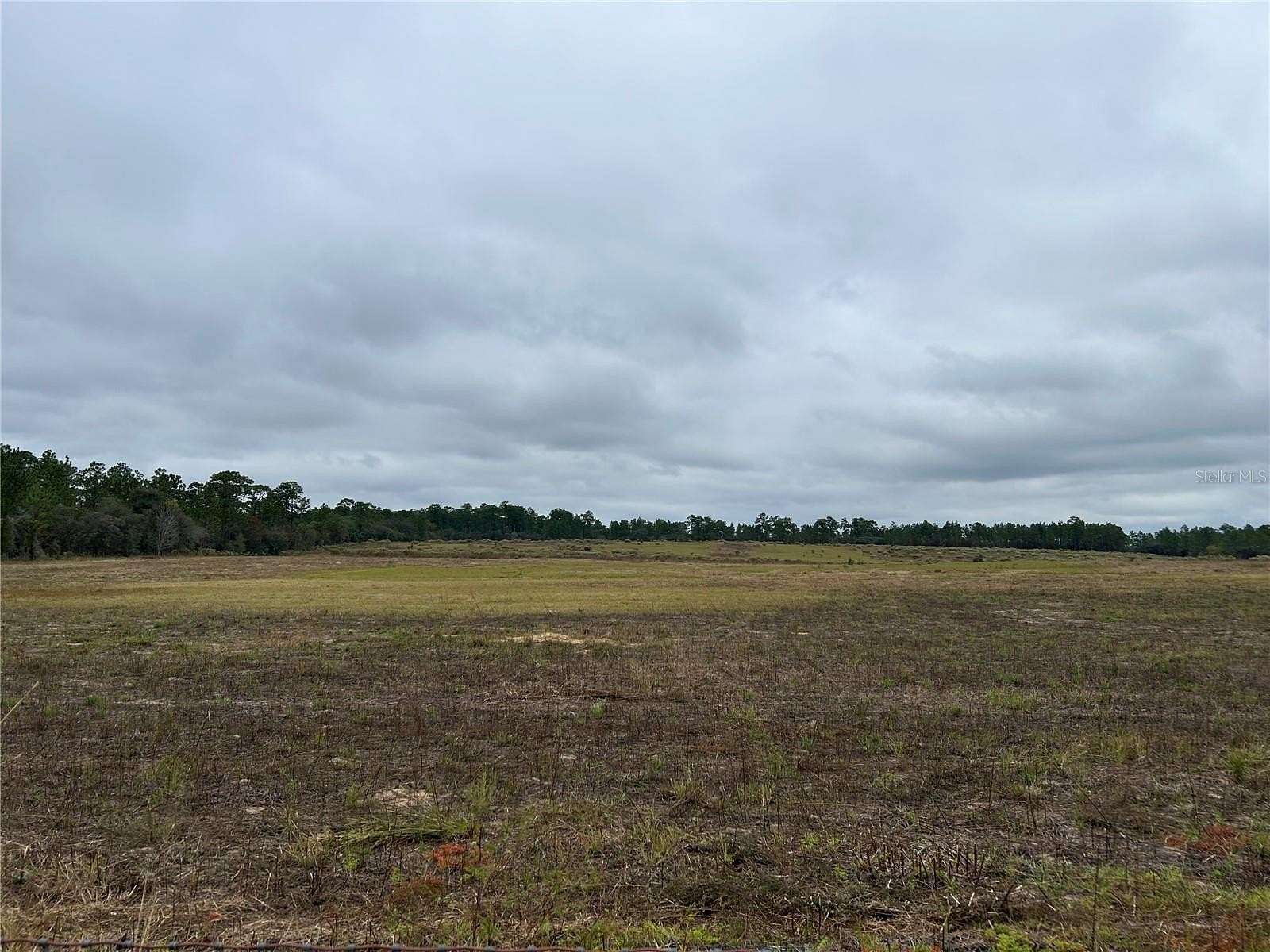 20 Acres of Land for Sale in Morriston, Florida