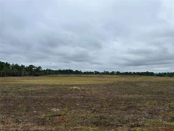 20 Acres of Land for Sale in Morriston, Florida