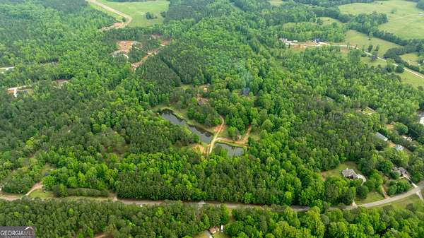 53 Acres of Recreational Land for Sale in Moreland, Georgia