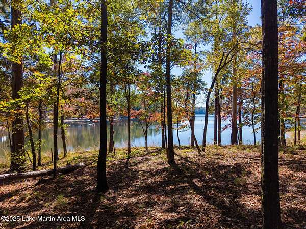1.76 Acres of Residential Land with Home for Sale in Alexander City, Alabama