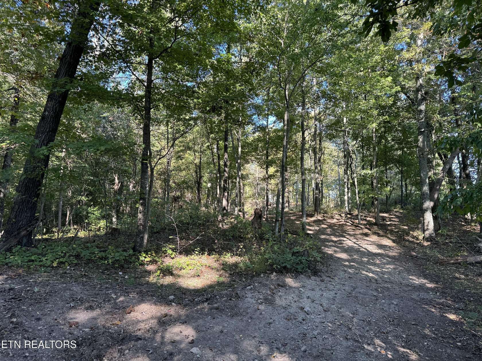 8.67 Acres of Land for Sale in Blaine, Tennessee