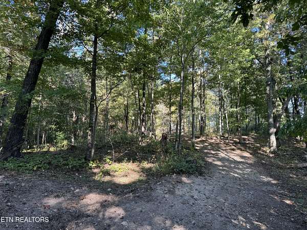 8.67 Acres of Land for Sale in Blaine, Tennessee